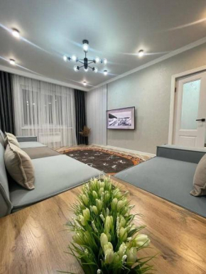 Temir apartment